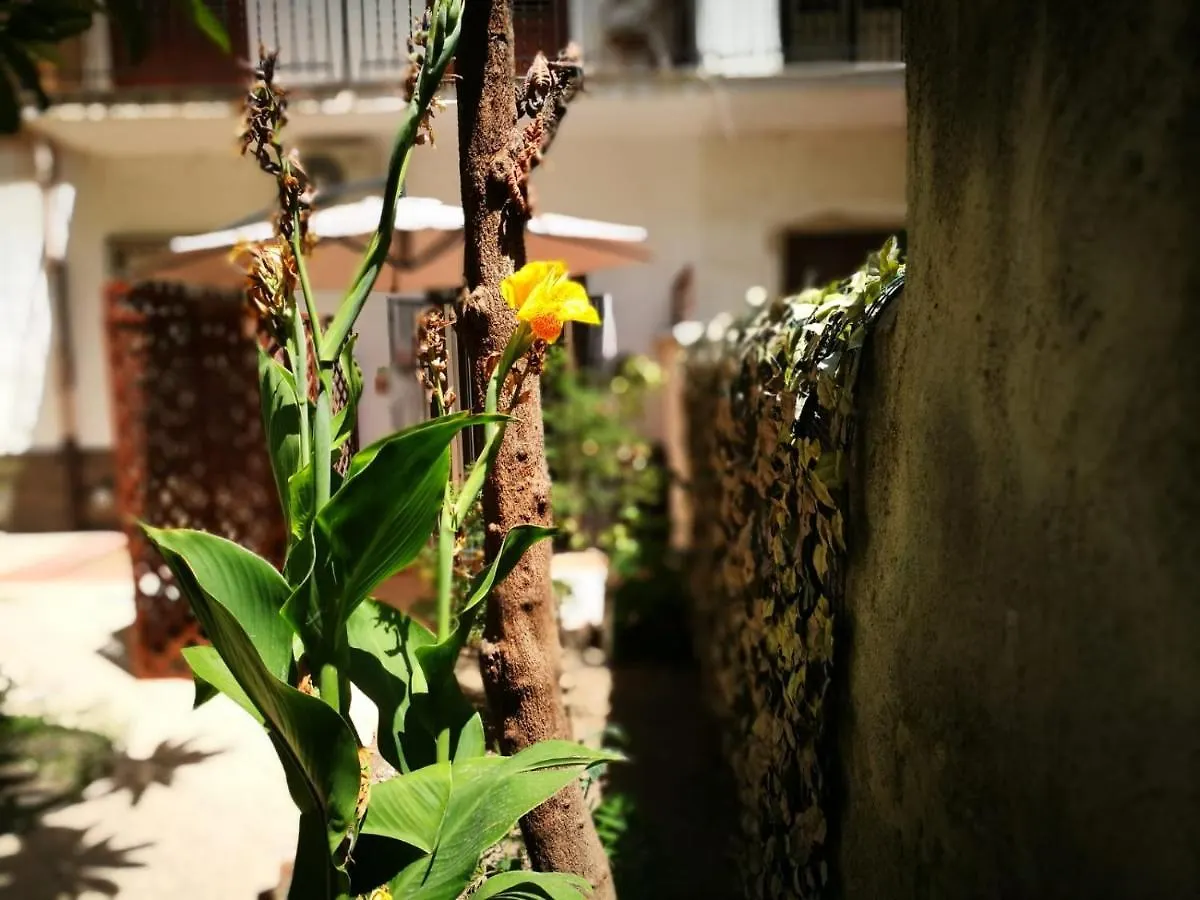 Bed and Breakfast Bella Palermo