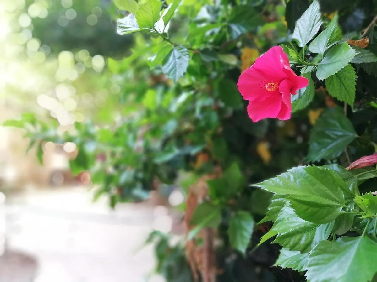 Bella Palermo Bed & Breakfast 2*,  İtalya