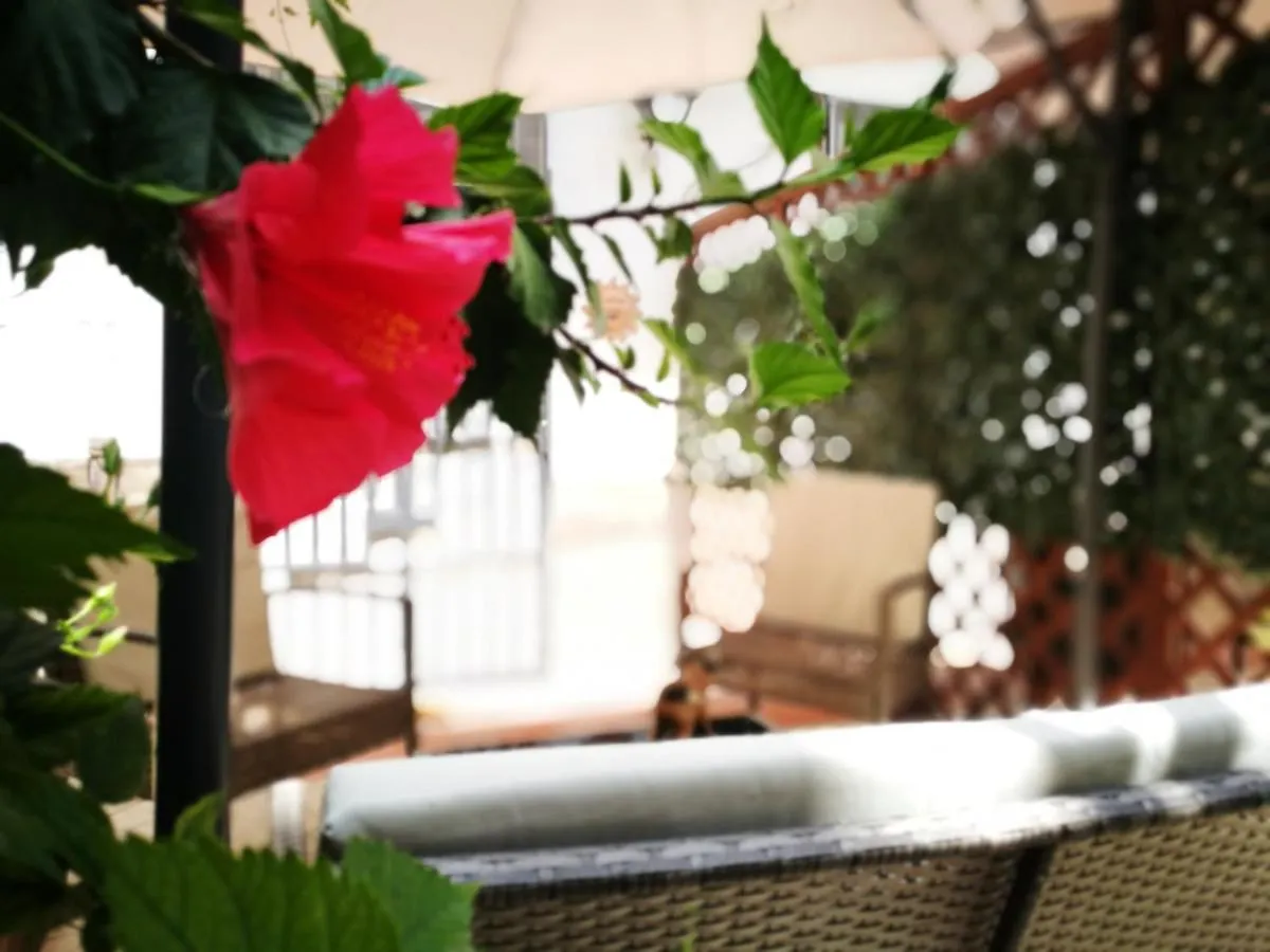 Bed and Breakfast Bella Palermo