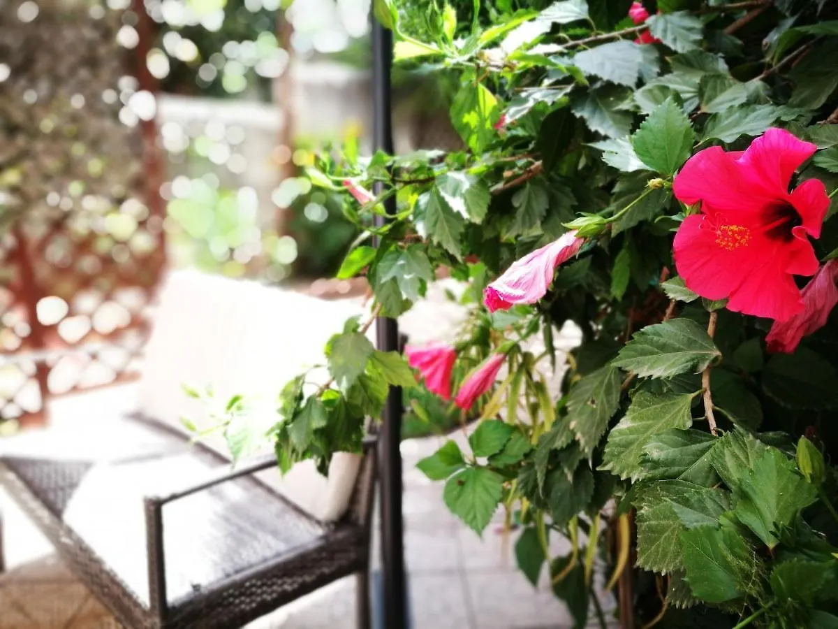 Bella Palermo Bed and Breakfast
